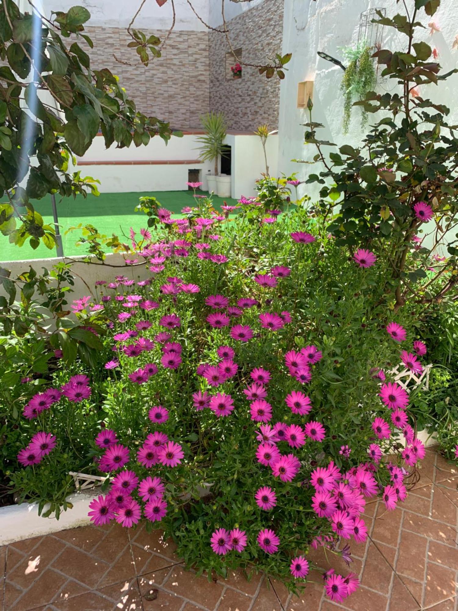 Casa Dos Tios Estremoz-Veiros Villa Kültér fotó